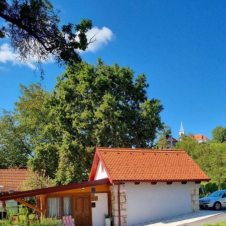 Holiday Old Stone House Sveti Ivan Zelina Esterno foto
